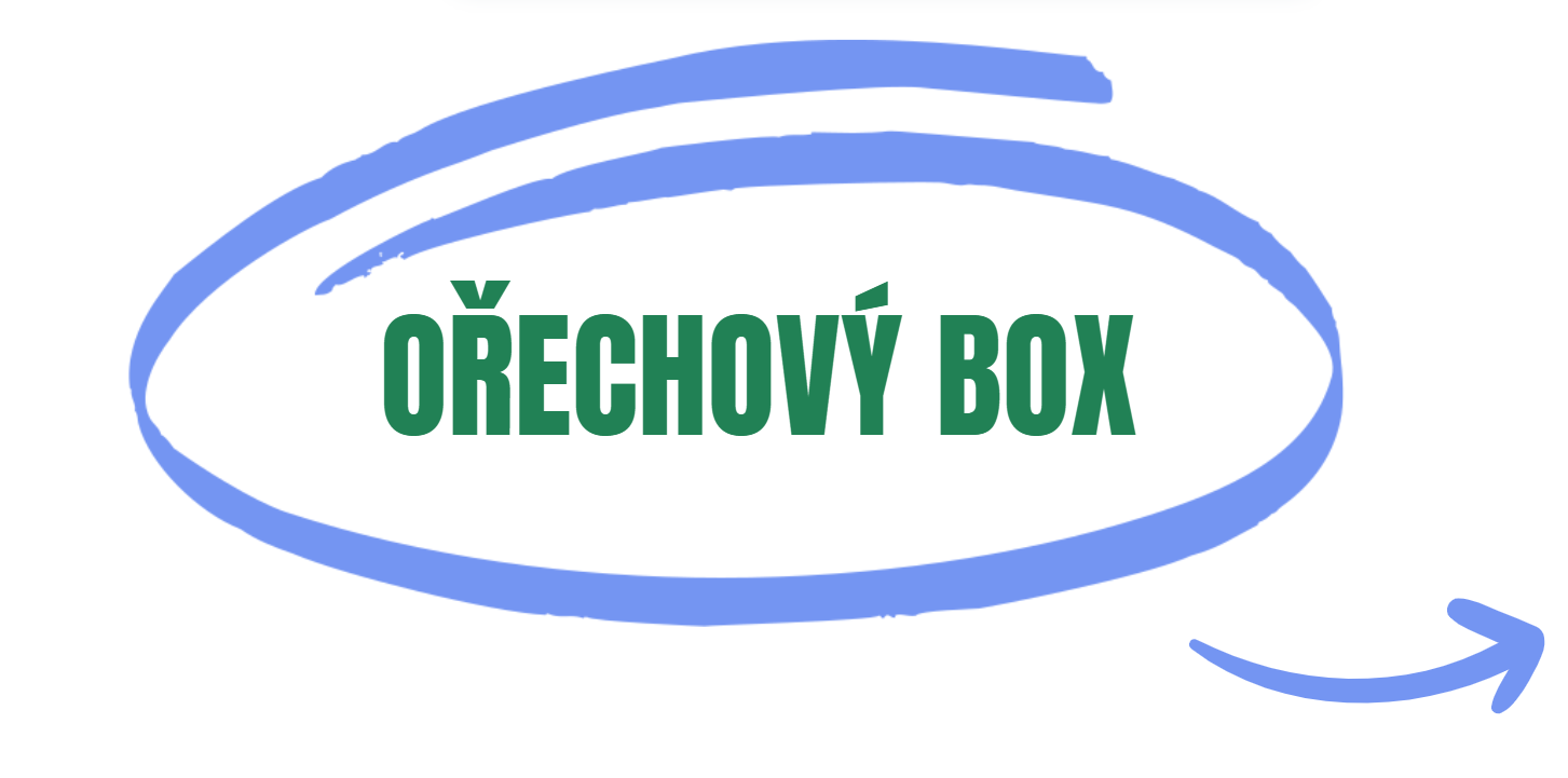 Ořechový box s 3D maskotem veverky